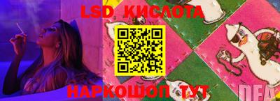 прущие грибы Краснодар