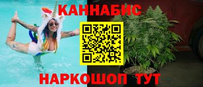прущие грибы Краснодар