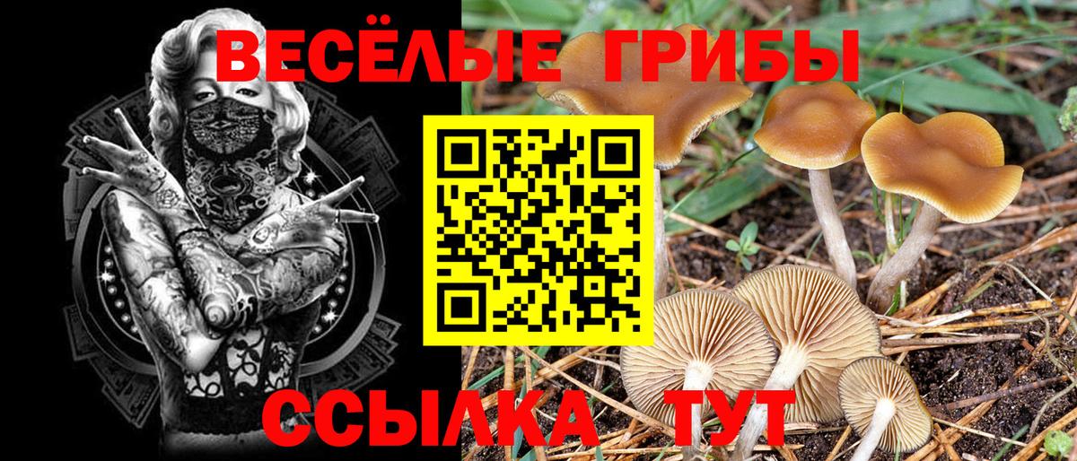 Псилоцибиновые грибы прущие грибы  где купить наркоту  Галлюциногенные грибы Magic Shrooms  Электрогорск  Вход с VPN 