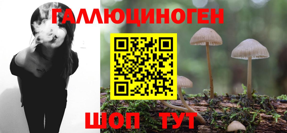 Галлюциногенные грибы мухоморы Электрогорск